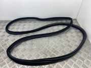 Türgummi links vorne BMW 3er Coupe (E92) 7119091