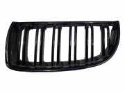 Vorderer oberer Gitter BMW 3 Touring (E91) 325 xi