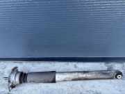 Stoßdämpfer hinten links PORSCHE PANAMERA (970) 3.6 97033314505