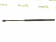 Gasfeder für Motorhaube Mercedes-Benz SLK (R171) DALISID4826