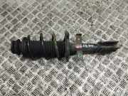 Stoßdämpfer vorne links RENAULT CLIO V (B7_) 1.3 TCe 130 (B7MF)