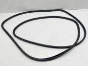Dichtungsgummi am Ende (Gabel) VW TIGUAN (AD1) 2.0 TSI 4motion 3G9877459C