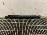 Heckklappe Gasdruckfeder links BMW 5 Touring (F11) 520 d 51247210557