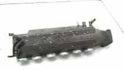 Ansaugbrücke ALFA ROMEO 166 (936_) 2.5 V6 24V (936A2___)