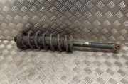 Stoßdämpfer links hinten Honda Accord VII (CL, CN)