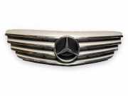 Vorderer oberer Gitter MERCEDES-BENZ B (W245) B 200 CDI (245.208) A1698800783
