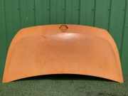 Motorhaube RENAULT MASTER III Furgon (FV) 2.3 dCi 125 FWD (FV0C, FV0D) 651001399R