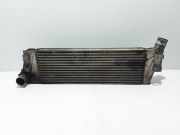 Ladeluftkühler Renault Grand Scenic II (JM) 8200115540