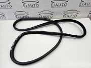 Dichtungsgummi der hinteren Tür (an der Karosserie) BMW X6 (E71, E72) xDrive 50 i 7195442