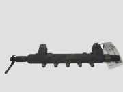 KRAFTSTOFFVERTEILER EINSPRITZLEISTE VERTEILERROHR NISSAN X-TRAIL (T30) 2.2 dCi 4x4 02H17