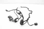 Kabel Tür Ford EcoSport () CN1514633HG