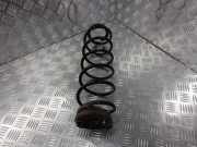 Federblatt links hinten Renault Laguna II (G)