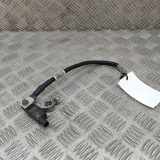 Massekabel Ford EcoSport () H1BT10C679AC