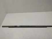 Vertikale Verkleidung an der hinteren linken Tür CITROËN C-CROSSER (EP_) 2.2 HDi