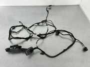 Türverkabelung hinten links BMW 5 Gran Turismo (F07) 535 d xDrive 9235754