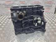 Motorblock VW PASSAT B7 ALLTRACK (365) 2.0 TDI
