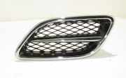 Gitter NISSAN PRIMERA (P11) 1.8 16V 623309F5