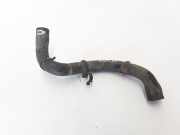 Kühlerschlauch Renault Kangoo II - Grand Kangoo (KW0) 8200795019
