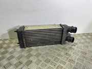 Ladeluftkühler Fiat Scudo Kasten (270) 1498987080