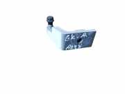 Türscharnier hinten links BMW X5 (E70) 7160825