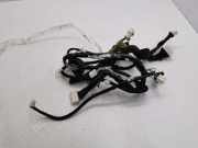 Kabel Tür vorne rechts NISSAN X-TRAIL (T31) 2.0 dCi 24124JH11A