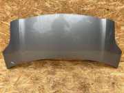 Motorhaube TOYOTA YARIS (_P9_) 1.4 D-4D (NLP90_)