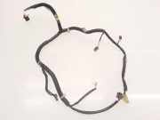 Kabelbaum HONDA CIVIC VIII Hatchback (FN, FK) 2.2 CTDi (FK3) 6D84SF72 80650SMGG4011