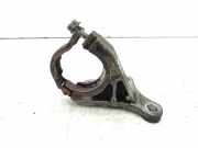 Lagerung für Achsträger Renault Laguna III (T) 8200373073