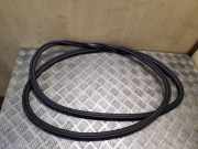 Türgummi rechts vorne Audi Q5 (8R) 8R0831721D