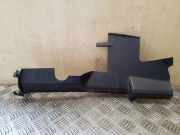 Kühlerluftumlenker RENAULT GRAND SCÉNIC III (JZ0/1_) 1.5 dCi 214990024R