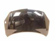 Motorhaube RENAULT KOLEOS I (HY_) 2.0 dCi 4x4 (HY0K)