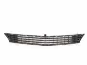 Gitter vorne unten MERCEDES-BENZ B (W245) B 180 CDI (245.207) A1698850123