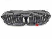 Vorderer oberer Gitter BMW 5 (G30) M 550 i xDrive 7497279
