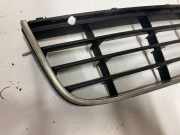 Gitter vorne unten VW JETTA III (1K2) 2.0 TDI 16V