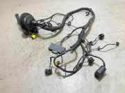 Kabelbaum BMW X1 (F48)