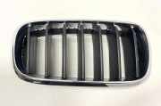 Kühlergrill komplett BMW X5 (F15, F85) 7316058