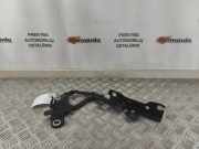 Motorhaubenscharnier links BMW 4er Gran Coupe (F36) 7336699