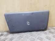 Türverkleidung rechts vorne Fiat Ducato Pritsche (290) 1305776070