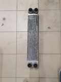Ladeluftkühler BMW 7 (E65, E66, E67) 745 d F0973000