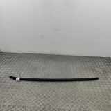 Dachreling rechts VW ID.4 (E21) PURE 11A860026