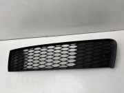 Gitter vorne unten AUDI Q7 (4L) 4.2 TDI quattro 4L0807697B