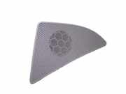 Türlautsprecher hinten links