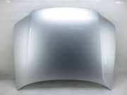 Motorhaube VW PASSAT B5 (3B3) 1.9 TDI