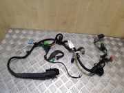 Kabel Tür vorne rechts VOLVO XC60 II (246) 2.0 D4 AWD 31254912