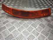 Blinker vorne rechts RENAULT TRAFIC II Furgon (FL) 1.9 dCi 100 (FL0C) 8200007030