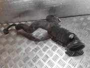 Andere Röhren RENAULT LAGUNA II (BG0/1_) 2.0 16V IDE (BG0N) 8200040521