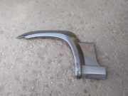 Schutzleiste Kotflügel Hyundai Terracan (HP) 87741H1020
