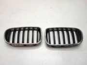 Vorderer oberer Gitter BMW X3 (F25) xDrive 20 d 7210726