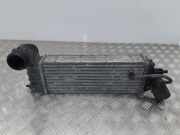 Ladeluftkühler Peugeot 807 () 1489396080