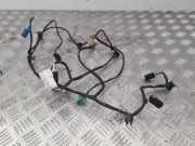 Kabelbaum LAND ROVER DISCOVERY III (L319) 2.7 TD 4x4